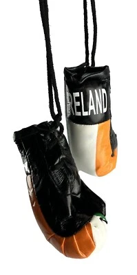 Paquete de 2 mini guantes de boxeo IRLANDA Country Pride bandera nacional MMA decoración del hogar para automóvil Foto 1 de 4