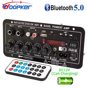 Power Amplification Board D10C BT 5.0 Microphone Subwoofer Battery Rechargeable - Picture 1 of 16