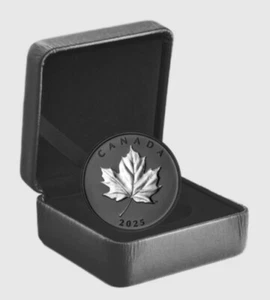 🇺🇸2025 Canada Elegant Maple, Silver W/ Black Rhodium, 2025 Box - Picture 1 of 17