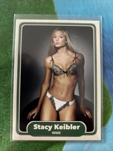 STACY KEIBLER SEXY CUSTOM CARD WWE - Picture 1 of 2