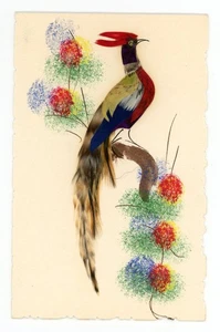 Greeting Card Exotic Earthy Pheasant Bird Feather Folk Art Mexico Christmas - Picture 1 of 3