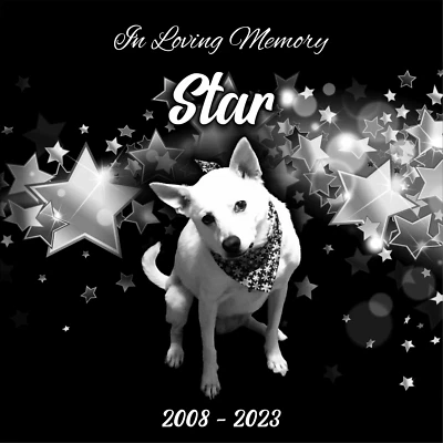 Персонализированный памятник домашнему животному могила маркер гранитная табличка человеческий надгробный камень собака 12x12 - Изображение 1 из 4