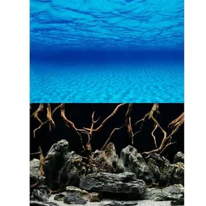 Marina Seascape/Natural Mystic Aquarium Fish Tank Background | 18" or 24" High - Picture 1 of 7
