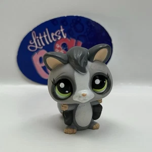 SUGAR GLIDER #1823 - Authentic Littlest Pet Shop - Hasbro LPS - Picture 1 of 4