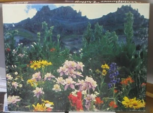 WILDFLOWER VALLEY - Completo - PUZZLE SPRINGBOK - Foto 1 di 2