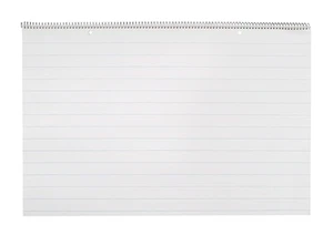 Chart , 24 x 16 Inches, 1 Inch Rule, 25 Sheets - Picture 1 of 8