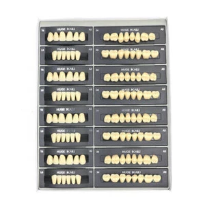 ENORMES DIENTES DE RESINA DE POLÍMERO SINTÉTICO DENTAL KAILI A3 T8 L8 34 A3 COLOR 112 unidades/paquete - Imagen 1 de 8