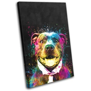 Colourful Cute Staffy Dog Animals SINGLE CANVAS WALL ART Picture Print - Picture 1 of 1