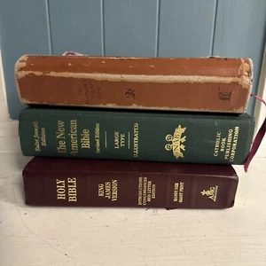 Lot of 3 Bibles NIV KJV KING JAMES Catholic Women’s Study Books MIX UNSORTED - Picture 1 of 7