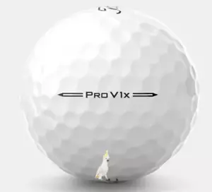 24 Titleist Pro V1X 2024 White 24 5A Pro V1X 2024 Used New Version Titleist - Picture 1 of 1
