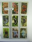 1983 BRITISH BUTTERFLIES  Set of 32 Players Grandee Tobacco cards