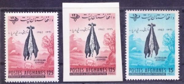 Afghanistan 1962 MNH, Karakul Sheep - Persian Lamb Skins  Perf+Imperf stamps - Image 1 of 1