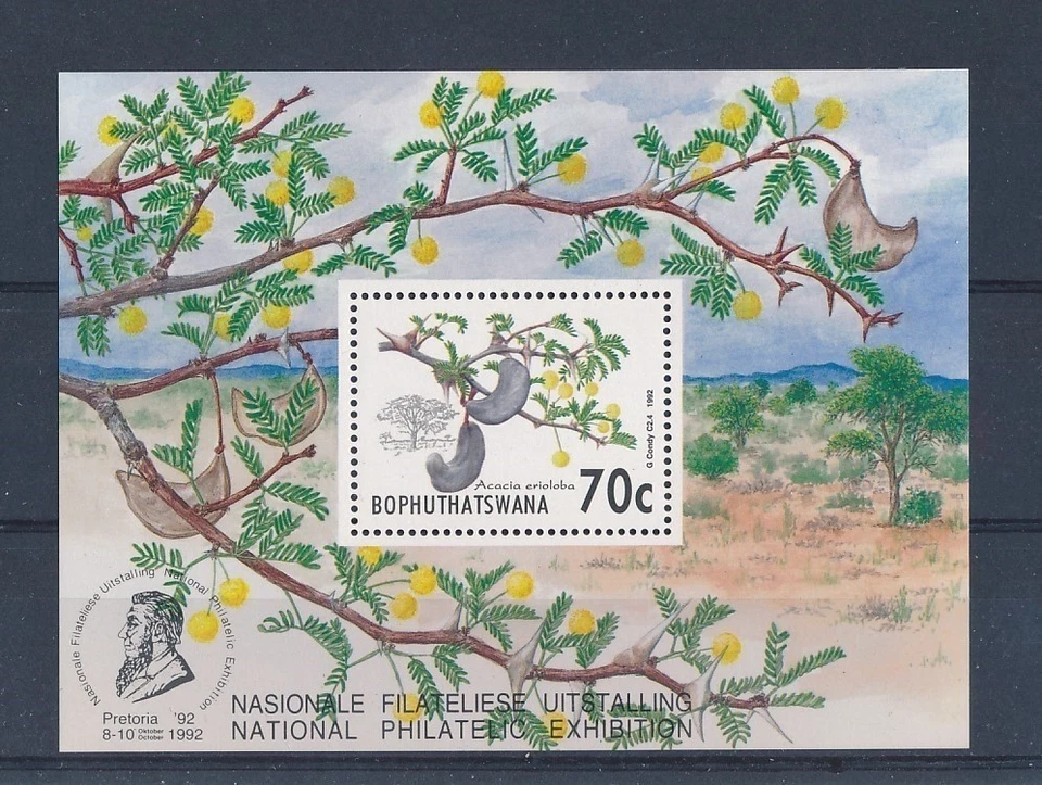 D440288 Bophuthatswana S/S MNH National Philatelic Exhibition Tree Nature - Image 1 of 1
