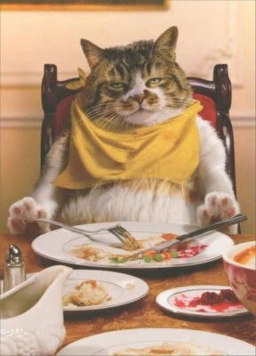 Fat Cat Asleep At Table Funny Cat Thanksgiving Card by Avanti Press