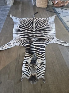 Südafrikanischer Zebra Fell Teppich - Bild 1 von 8