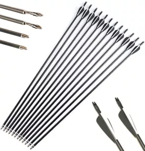 12Pcs 30in Fiberglass Archery Arrows Spine 500 with Removable Tips for Hunting - Picture 1 of 13