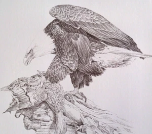 Pájaros Vida Silvestre ÁGUILA Glen Loates De Colección Boceto Arte Libro Estampado 34 - Imagen 1 de 3