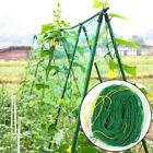 Vine Plant Cucumber Nylon Climbing Net Grow Holder Garden Tool Trellis Netting