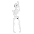 Movable Mr. Skeleton Human Model Skull Full Body Mini Figure Toy Halloween