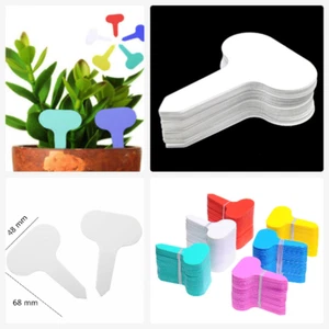 100 pcs - T Plant Labels > Plastic Seedling Tags > Garden Plant Marker > White - Picture 1 of 4