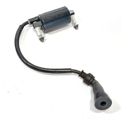 Suzuki Inazuma GW250 2013 A 2018, bobina de encendido OEM, P/N 33410-48H01 Foto 1 de 4