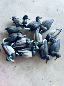 12 Flambeau Duck Decoys.  Never used, in box.  Classic Mallard Weighted keel  - Picture 1 of 5