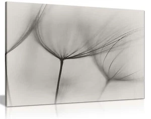 Schwarz & Weiß Schwarzwurzeln Blumen Gerahmter Leinwanddruck Wandbild Wohndeko - Bild 1 von 6