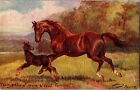 Tucks 9138 Horse Studies, Thoroughbred Mare and Foal Vintage Postcard M77
