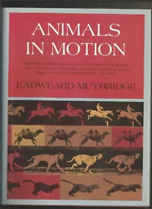 Animals in Motion - Picture 1 of 1