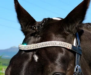 FSS Glimmer SPARKLE CLEAR WHITE ICE CRYSTAL 5x Row Bling U Curve Shape Browband - Picture 1 of 1