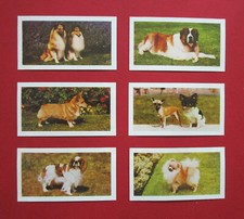 HORNIMANS  SIX  VINTAGE  1961  COLLECTABLE  TEA CARDS   DOGS   39-40-41-42-44-46