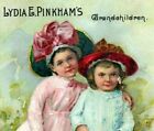 1880s Lydia Pinkham's Grandchildren P.G. Bosworth Fairgrove MI Quack Med. P213