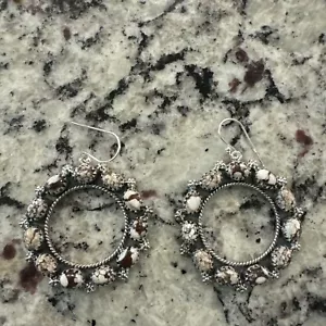Wild Horse Jasper Circle Earrings - Picture 1 of 3