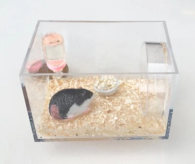 Puppenhaus Resin Meerschweinchen in einer Kunststoffvitrine Maßstab 1:12 Tumdee