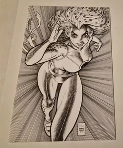 THUNDERCATS CHEETARA 1 COMIC ARTHUR ADAMS EXCLUSIVE SKETCH COVER 2024 SDCC HG! - Bild 1 von 2