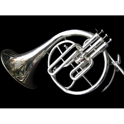 FRENCH HORN IN BB PITCH CHROME POLISH + EXTRA SLIDE ( F PITCH )+ CASE +FREE SHIP - image 1 of 4