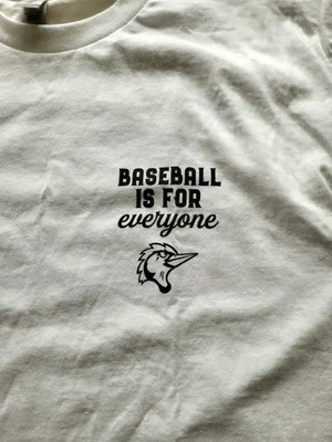 Fayetteville Woodpeckers MiLB Baseball is for Everyone Pride Graphic T-Shirt M — 第 1/4 张图片