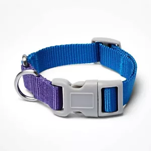 LEGO ColorBlock Cuello de Perro Pequeño 8"" a 12"" - Azul Púrpura - Colección Objetivo NUEVO - Imagen 1 de 3