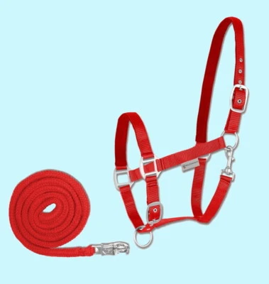 Pferde Halfter + Strick Set Waldhausen SATIN weich rot Shetty Pony VB WB  - Bild 1 von 2