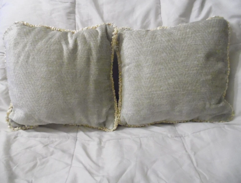 NUEVO Juego de 2 Almohadas Decorativas Glenna Jean Contessa Gris 12x12x4 WO140 Foto 1 de 2