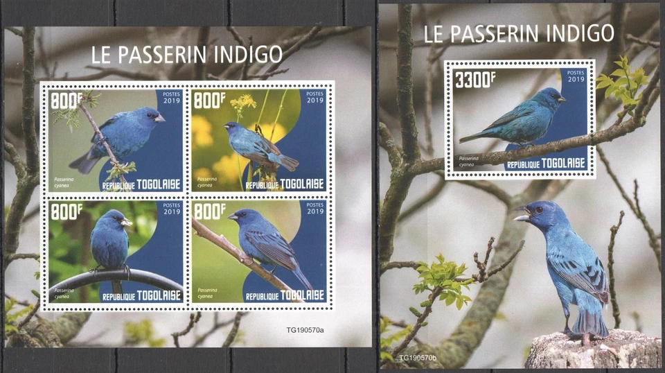 GS0303 2019 TOGO INDIGO BIRDS FAUNA YVERT #7842-45+BL1811 MNH - Image 1 of 1
