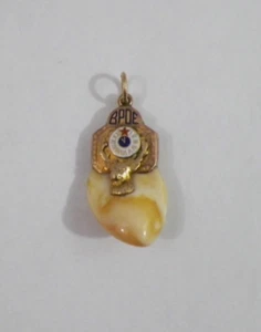 BPOE 10K Gold Elks Lodge Tooth Pendent 7.61 grams Ft. Scott, Kansas 579 - Picture 1 of 2