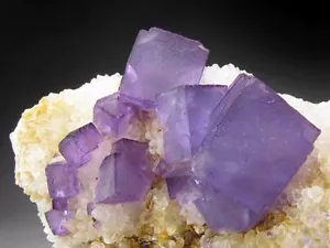 New find mineral Fluorine violet Bingham New Mexico USA Minerali Fluorite viola - Foto 1 di 6
