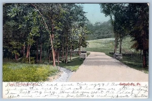 1908 EAST CONFEDERATE AVENUE GETTYSBURG PENNSYLVANIA PA ANTIQUE POSTCARD - Picture 1 of 2