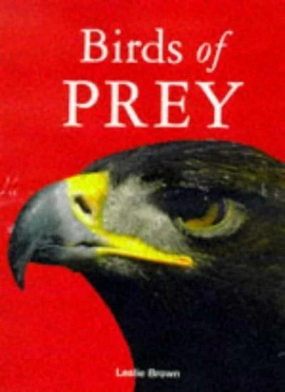 Birds of Prey By Leslie Brown - Image 1 of 1