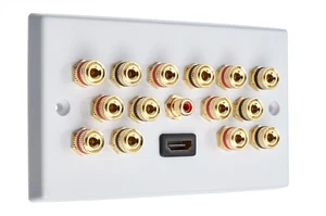 7.1 Audio / AV Speaker Wall Plate Gold 14 Binding Posts+ 1 RCA +HDMI Non-solder - Picture 1 of 6