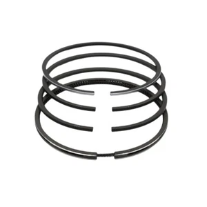 KOLBENRINGSATZ (STD-100.00mm):RUGGERINI/CRD 100/RP 170/CRD 100-2/RP 320 - Picture 1 of 4