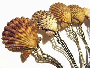 8 Art Nouveau Style Spoons Mary Elwyn Sterling Silver Mounted Scallop Shells - Picture 1 of 9