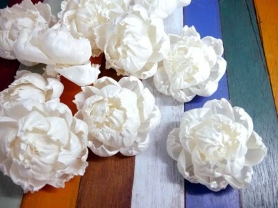 9 Peony Roses Sola Wood Flower Diffuser Flowers 8 cm Dia. For Decorate Craft - Image 1 of 3