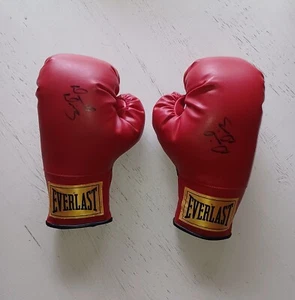 David Diaz Boxing Gloves Signed Autographed WBC Lightweight Golden Gloves Champ - Picture 1 of 9